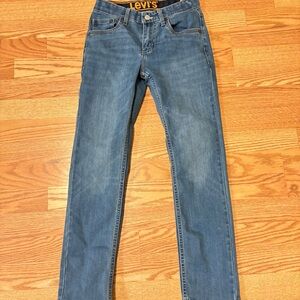 Levi's Blue Denim Jeans